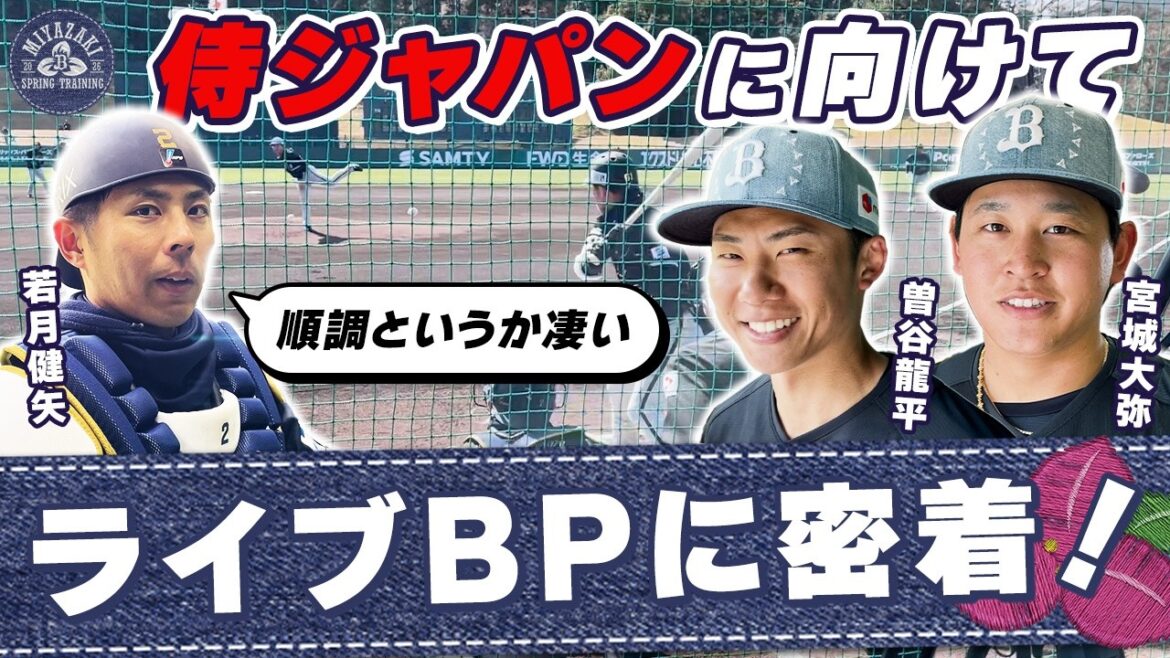 【2026春季キャンプ】宮城投手、曽谷投手のライブBPに密着！