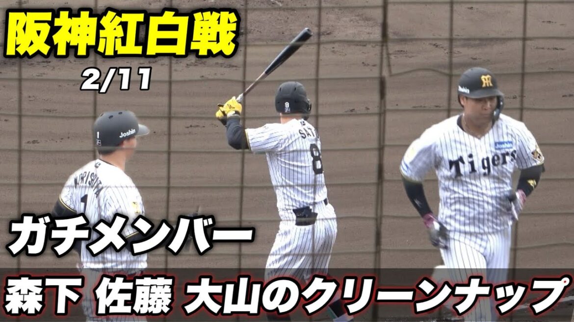 【ハプニングが多数も近本 森下 佐藤 大山とガチメンバーで朝から満員の宜野座球場！！】阪神紅白戦5イニング