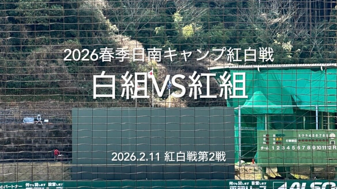 全打席ハイライト！沖縄行きをかけた紅白戦第2戦目は坂倉の本塁打で幕開け、アピールした若手は！？【2026.2.11春季日南キャンプ第3クール2日目】#広島カープ#紅白戦#2026春季日南キャンプ