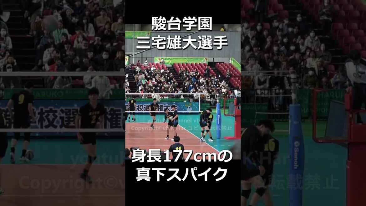 後頭部直撃! #駿台学園 #三宅雄大 177cmでこの角度はエグい スパイク  #バレーボール #volleyball　 #japanvolleyball