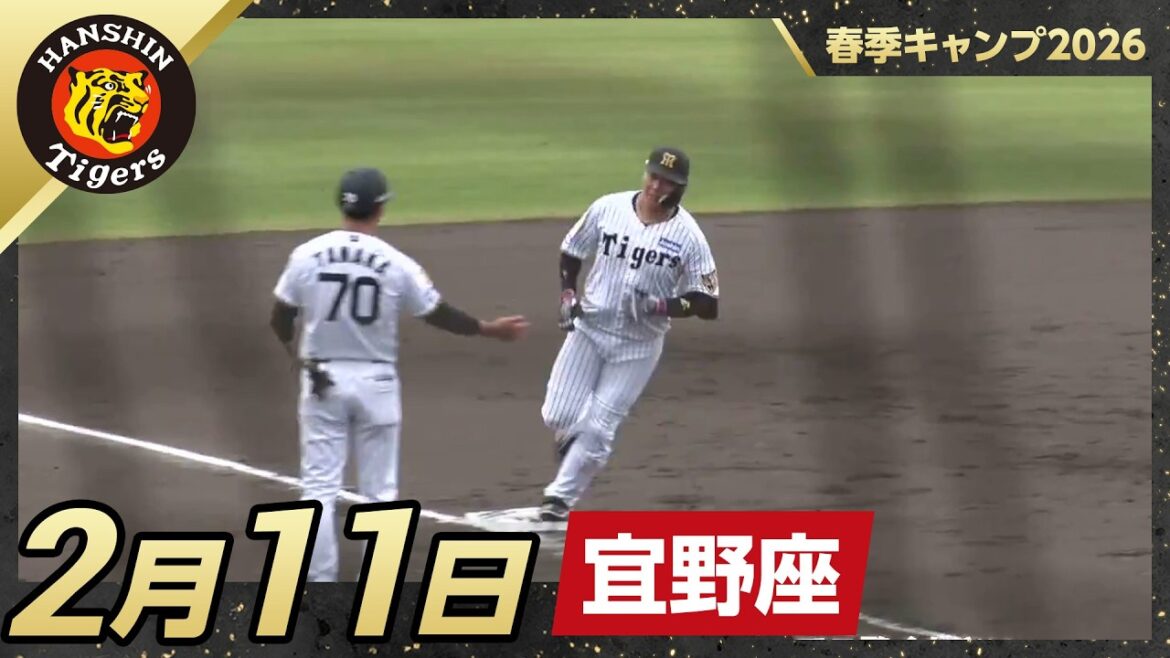 【春季キャンプ2026・宜野座】2月11日