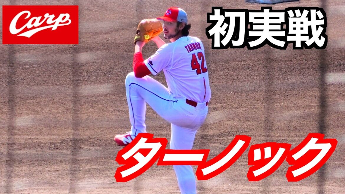 【新助っ人が遂にベールを脱ぐ】　ターノックの全投球！シート打撃「打撃投手登板！」【２０２６広島東洋カープ春季日南キャンプ】