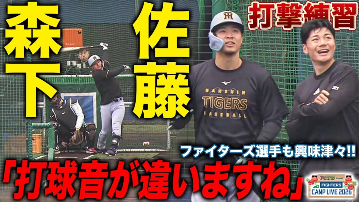 佐藤輝明＆森下翔太の打撃練習「打球音が違いますね」清宮幸太郎は後ろで観察＜2/8ファイターズ春季キャンプ2026＞