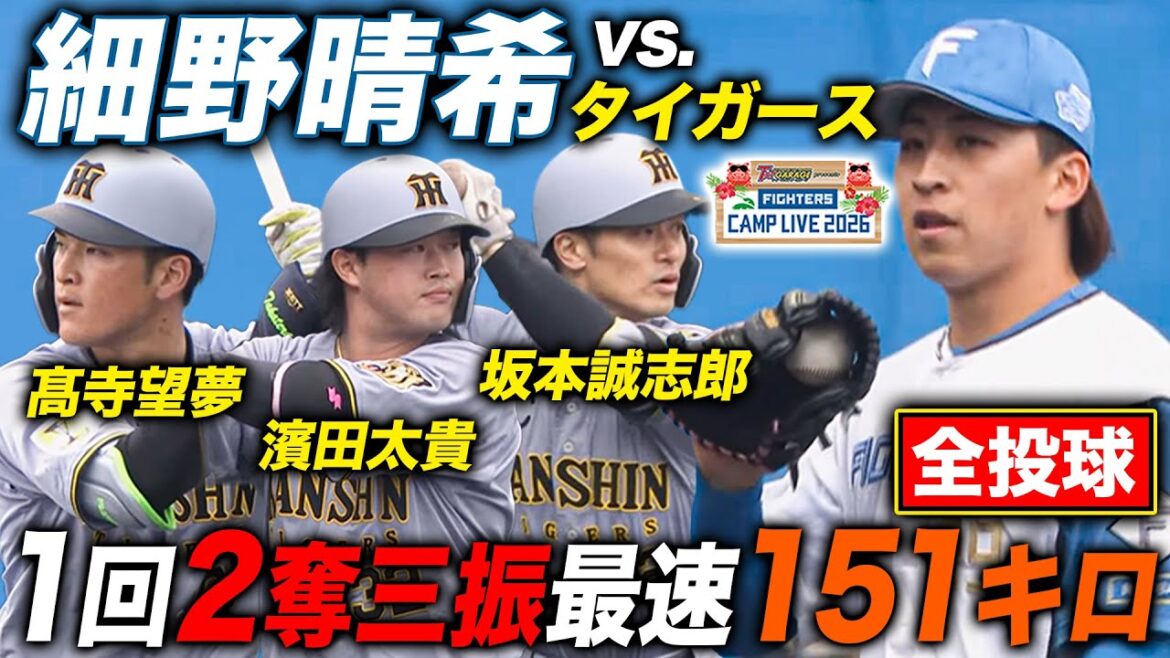 細野晴希vsタイガース練習試合 1回2奪三振「力感がなくなった」全投球＜2/8ファイターズ春季キャンプ2026＞
