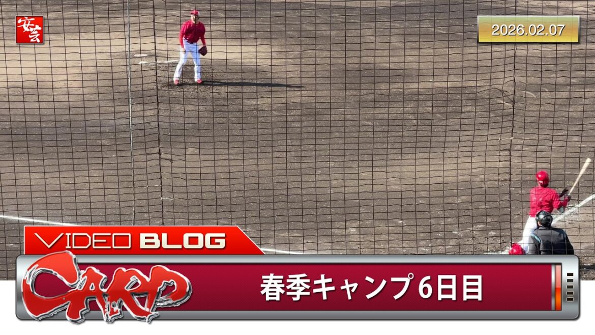 【今日のカープ】春季キャンプ6日目、いきなり超期待できる新星が見つかる。1軍・2軍共にシート打撃（2026年2月7日）