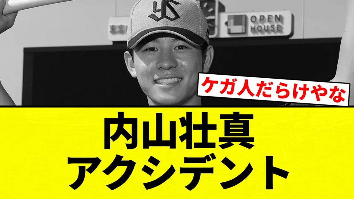 【もう病院だよ！】内山壮真 アクシデント【プロ野球反応集】【2chスレ】【なんG】