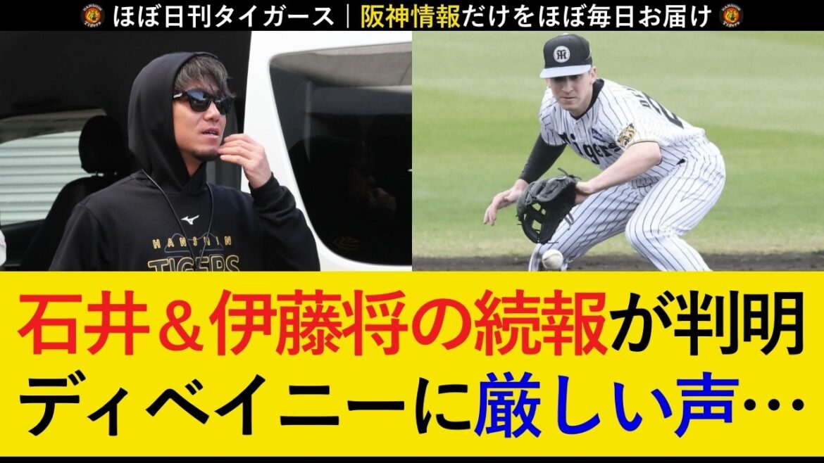 【WBCは絶望的か】伊藤将司は別メニュー調整も大事に至らず？石井は球場に姿を見せず...。能登の評価は上々も、ディベイニーの攻守に厳しい声が続出...。【阪神タイガース】