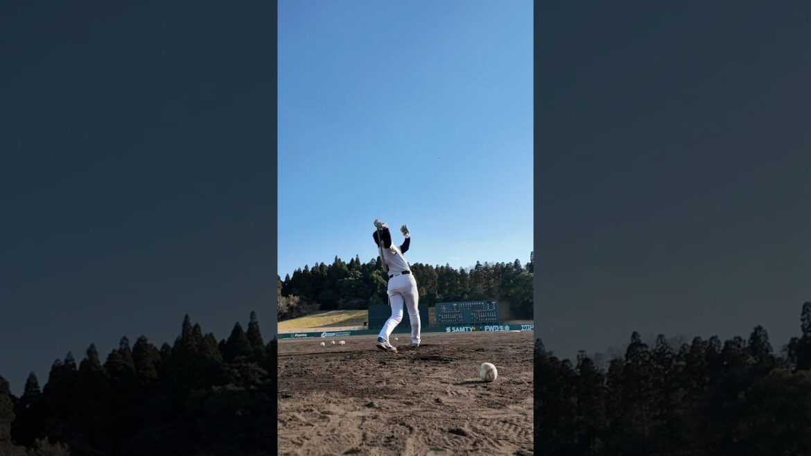 【飛距離も注目】ノックバットで練習！ #麦谷祐介 #オリックス #shorts