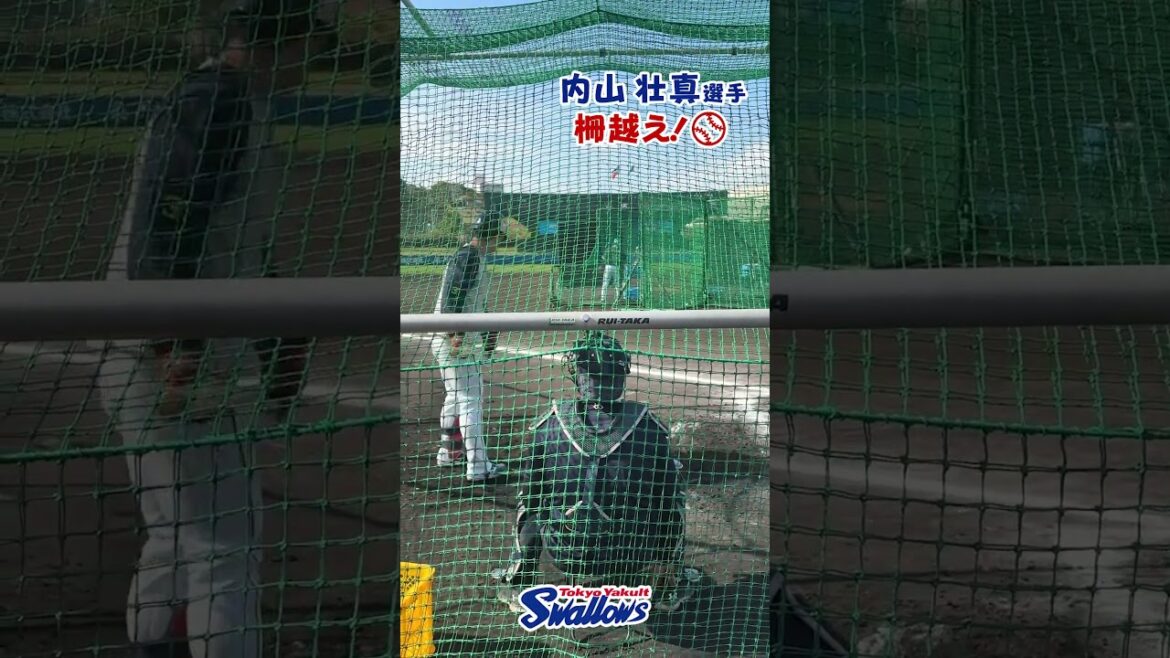 内山壮真選手、柵越え！ 2026浦添キャンプ第2クール6日目 #内山壮真 #swallows  #shorts