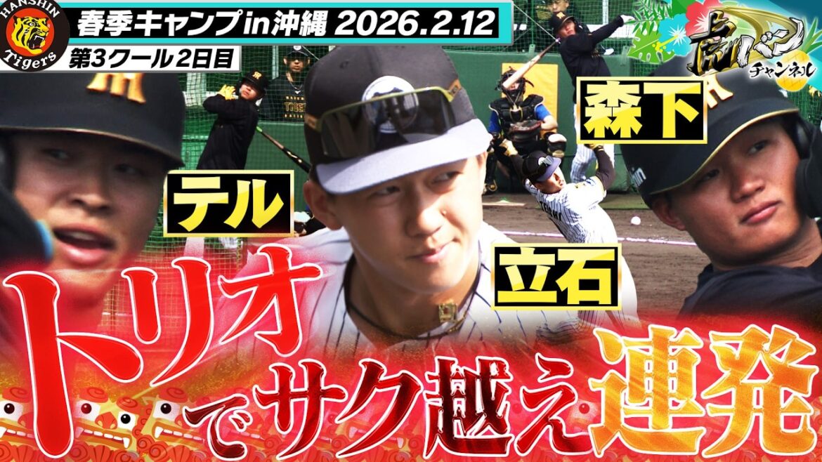 【豪快スラッガートリオ】佐藤輝＆森下＆立石が揃って柵越え連発！ルーキー立石は復帰を目指し調整順調！！阪神タイガース密着！応援番組「虎バン」ABCテレビ公式チャンネル
