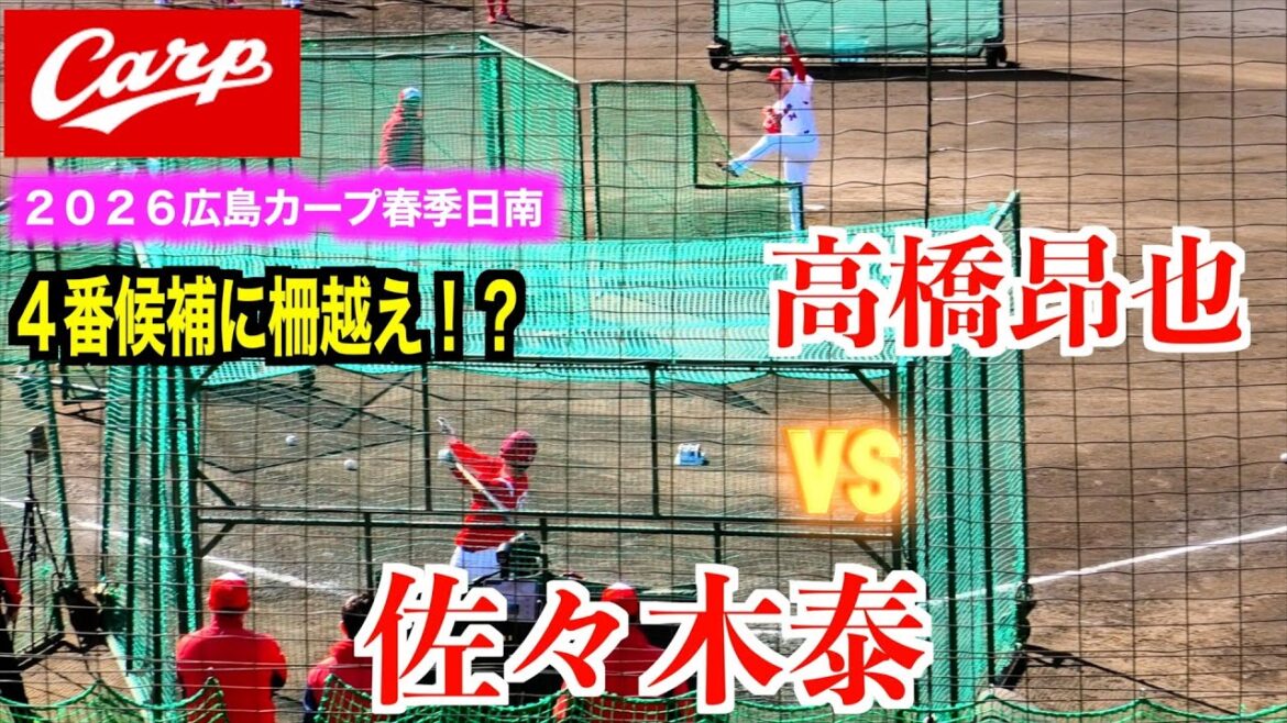 ４番候補の佐々木泰に柵越えが！？新加入の辰見鴻之介も登場！vs高橋昂也「打撃投手登板！」【２０２６広島東洋カープ春季日南キャンプ】