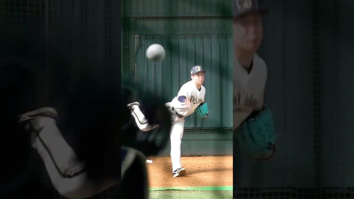 ORIX-Buffaloes: 吉田輝星投手のブルペン投球⚾ #吉田輝星 #ブルペン #オリックス #shorts 吉田輝星投手のブルペン投球⚾ #吉田輝星 #ブルペン #オリックス #shorts