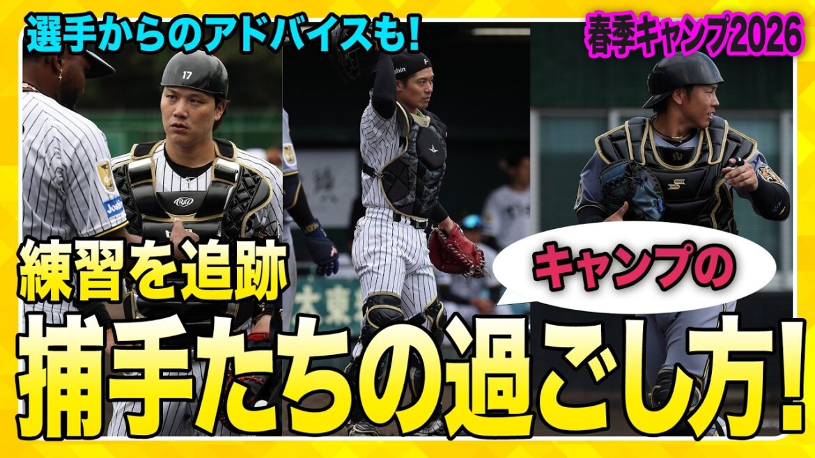 【捕手の練習】捕手のキャンプの過ごし方を追いました！#坂本誠志郎 選手 #梅野隆太郎 選手 #伏見寅威 選手らが登場！