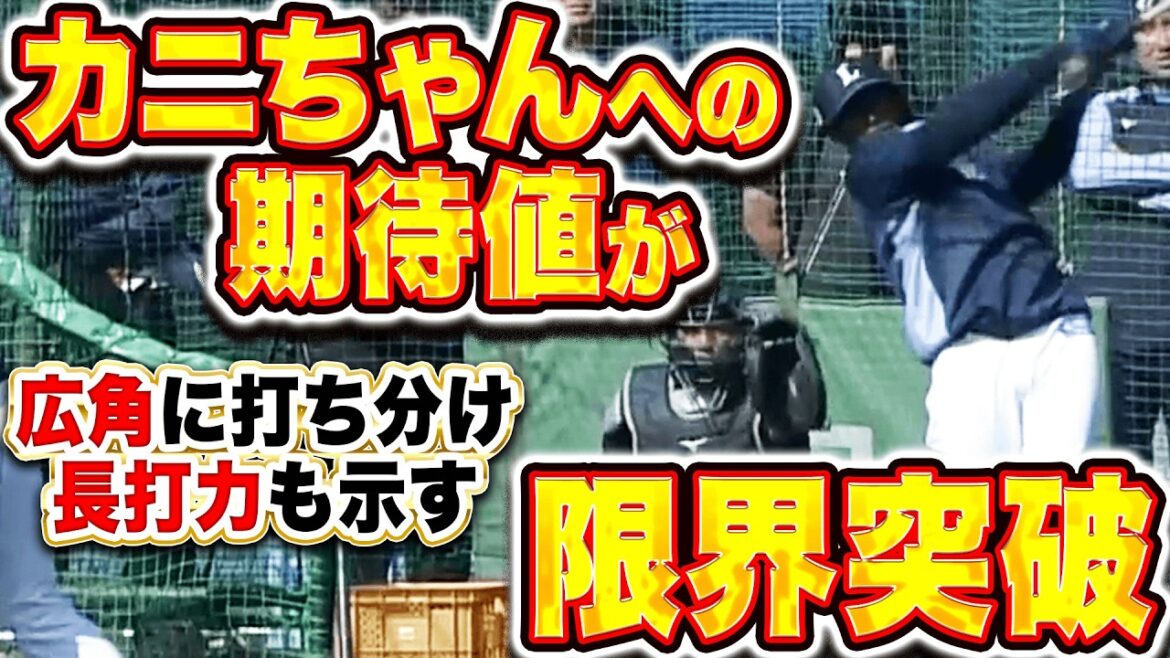 【柵越え連発】カナリオ『広角へ打ち分けて（甲殻類だけに🦀）長打力も示す…カニちゃんへの期待値が限界突破！』