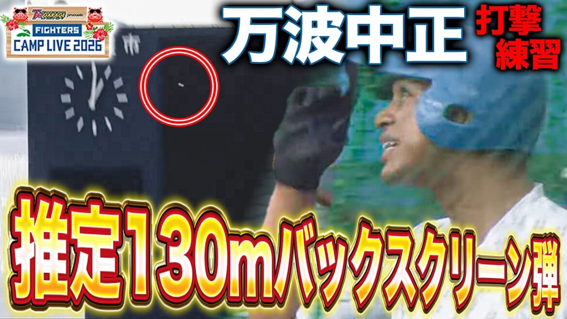 万波中正バックスクリーン弾‼️打撃練習で大大飛球 山﨑武司コーチの指導に感謝＜2/12ファイターズ春季キャンプ2026＞