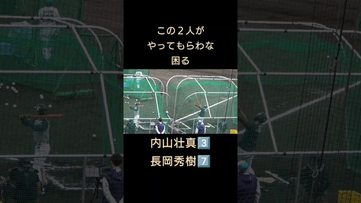 #長岡秀樹 　#内山壮真 　#東京ヤクルトスワローズ 　#春季キャンプ 　#shorts  #フリーバッティング 　#燕心全開 　#燕征 　#沖縄 　#浦添