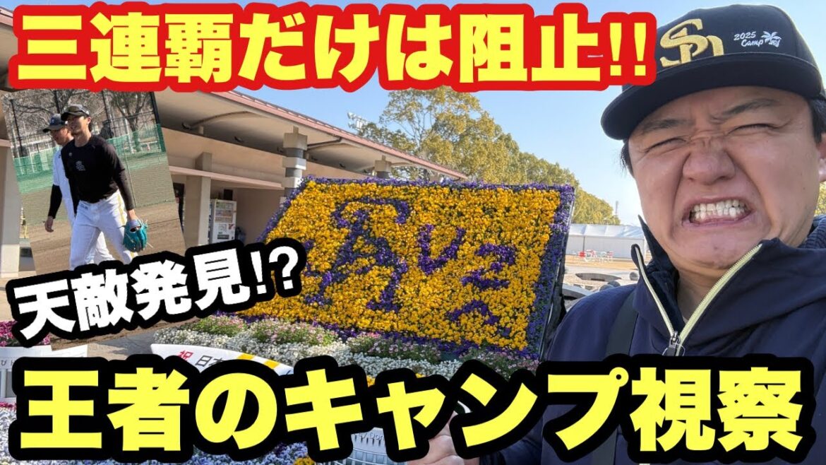 今日はあの場所へ！ホークスキャンプがすごかった！