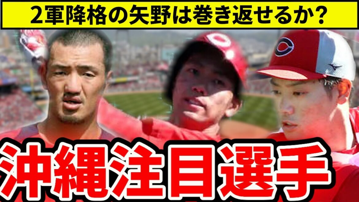 【広島】矢野2軍降格など波乱の第3クールまとめ！沖縄で注目したい選手【広島東洋カープ】