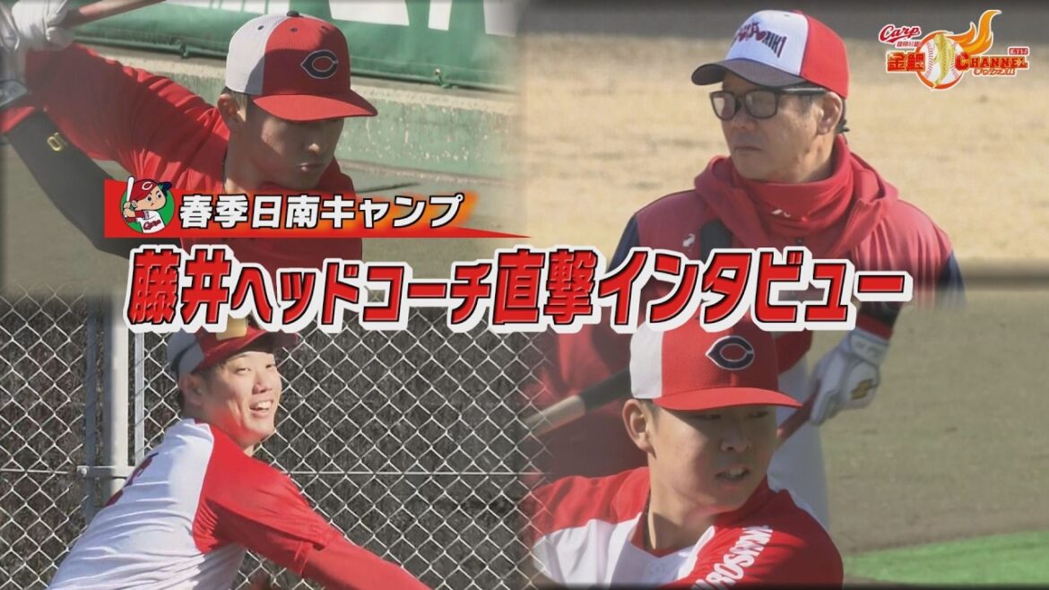 藤井ヘッドコーチ単独インタビュー！【カープ公認】金鯉チャンネル /広テレ！