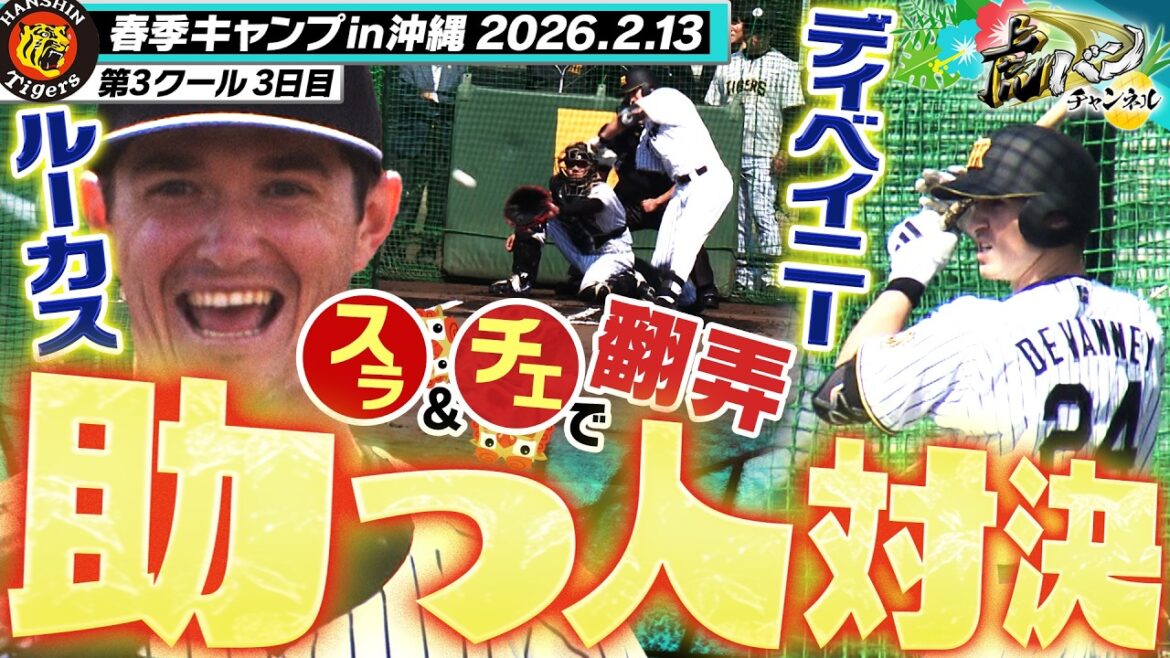 【新助っ人が激突】ルーカスvsディベイニーがライブBPで対決！とにかくスライダーとチェンジアップがキレッキレ！阪神タイガース密着！応援番組「虎バン」ABCテレビ公式チャンネル