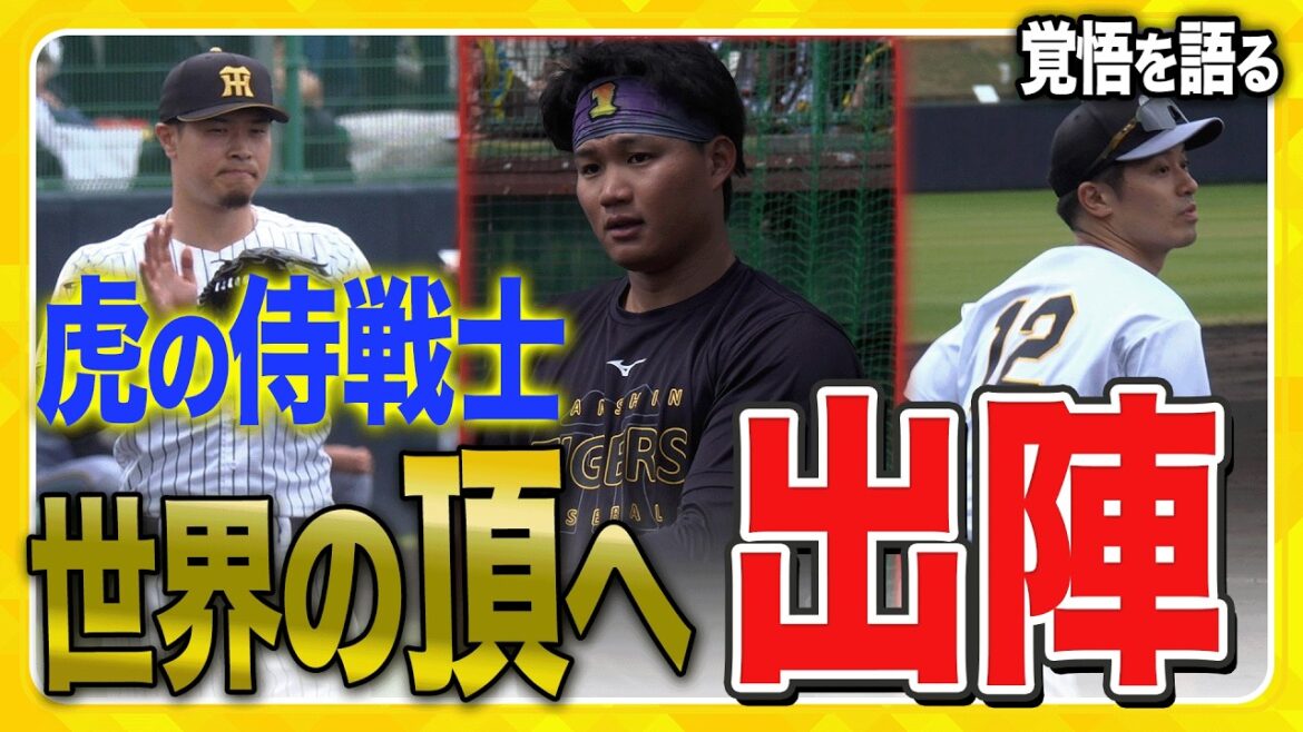 【侍戦士いざ世界へ】#坂本誠志郎 選手 #佐藤輝明 選手 #森下翔太 選手がチームを離れWBCへ！日の丸を背負い、世界へ挑む3人が覚悟を語りました！