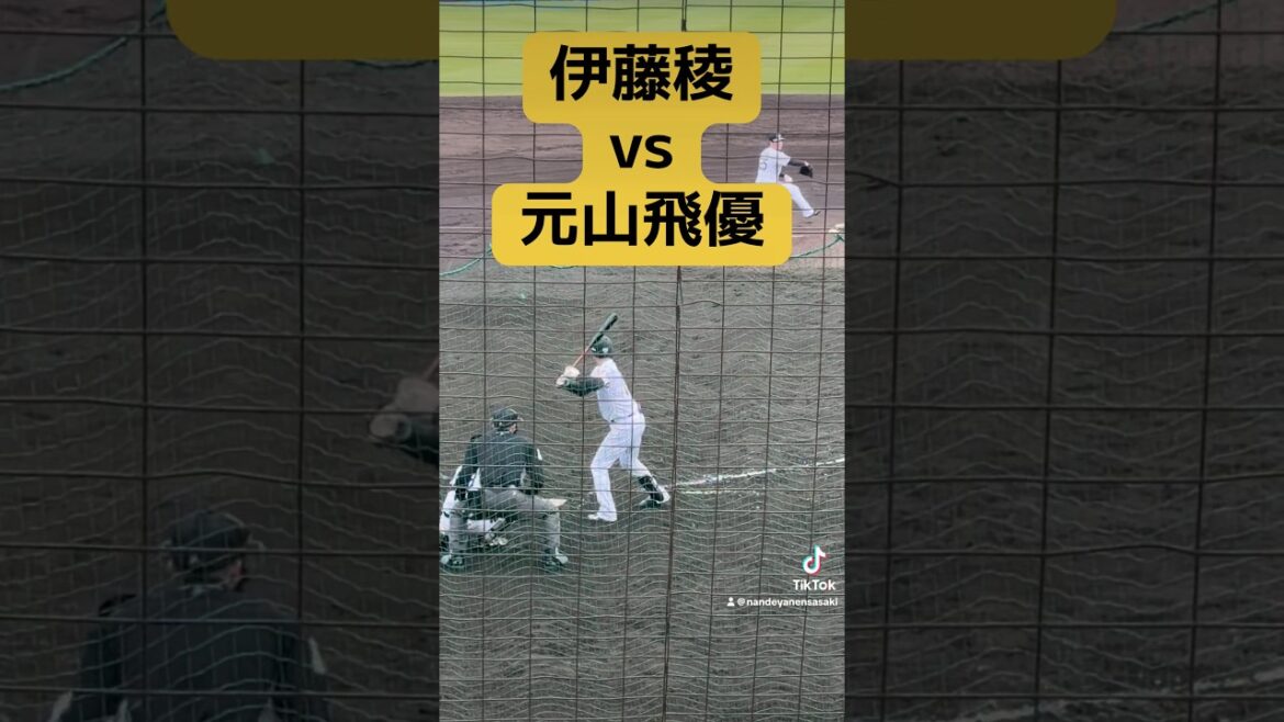 伊藤稜vs元山飛優　シート打撃💺2026阪神沖縄宜野座キャンプ#阪神タイガース　#阪神　#伊藤稜　#元山飛優 #プロ野球