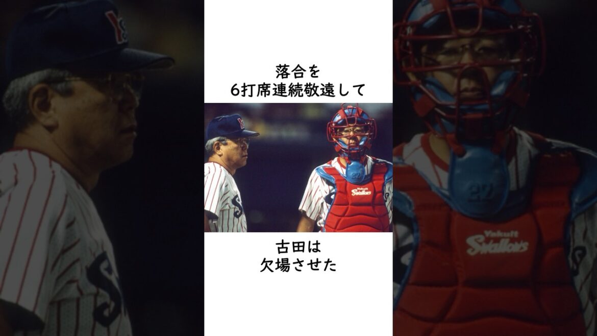【古田敦也】落合との壮絶な首位打者争い #プロ野球 #東京ヤクルトスワローズ#中日ドラゴンズ