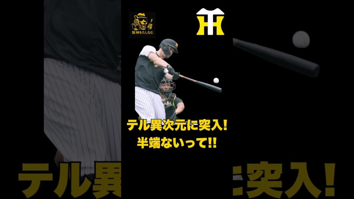 【キャンプ考察2/2🔥】立石谷端の守備いいぞ‼️テルが異次元に突入‼️宜野座具志川にはロマンが溢れすぎている‼️#阪神タイガース＃阪神タイガースたしなむ＃阪神　春季キャンプ＃阪神キャンプ2/1
