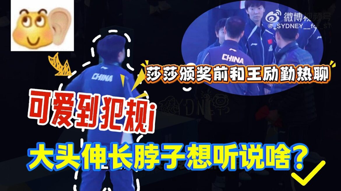 可爱到犯规！孙颖莎颁奖前和王励勤热聊笑容灿烂，王楚钦削尖脑袋想听说啥？【中国乒乓比赛传奇】#孙颖莎 #王楚钦  #孙颖莎王楚钦 #sunyingsha  #国球乒乓 #tabletennis