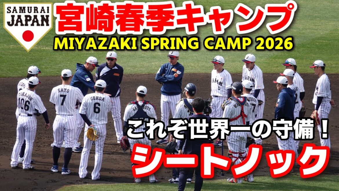 【侍ジャパンシートノック】もはや芸術!これぞ世界一の守備!侍JAPANの「日本最高峰の守備」 2026.2.14 【侍ジャパンシートノック】もはや芸術!これぞ世界一の守備!侍JAPANの「日本最高峰の守備」 2026.2.14