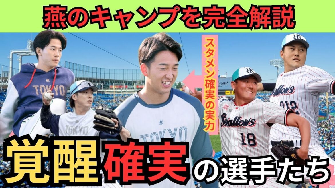 【浦添キャンプを完全網羅】スワローズのドラフト1位松下、ホームランを放ち、ファンも衝撃。奥川や廣澤も猛アピール！