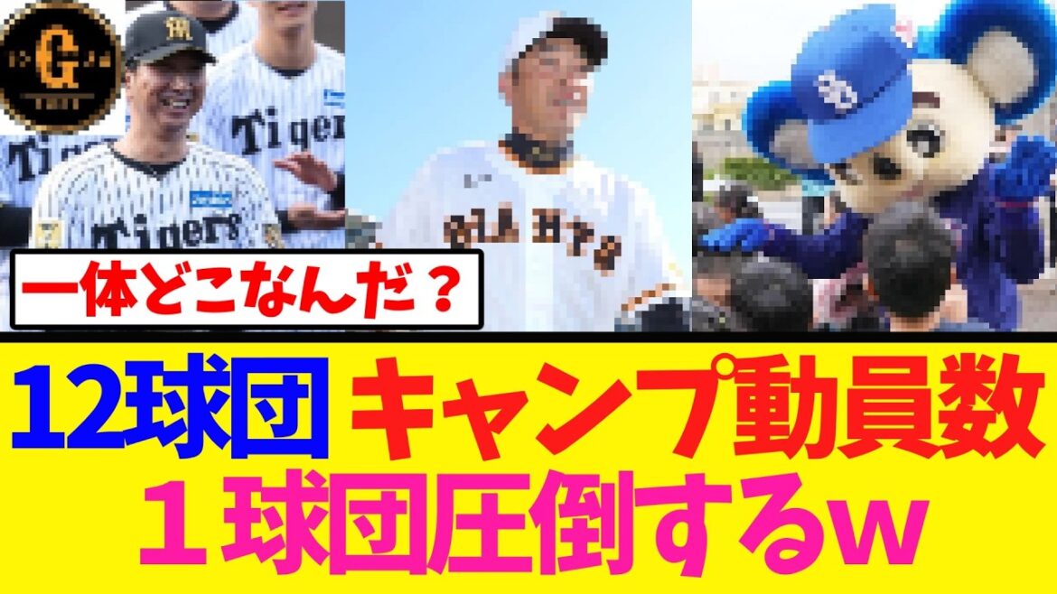 【12球団】直近のキャンプ動員数がこちらｗ