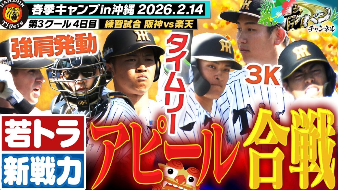 【宜野座初戦！】伏見の強肩＆中川の先制タイムリーなど若トラ＆新勢力が対外試合で存在感！将来の主役へ名乗りを挙げる！阪神タイガース密着！応援番組「虎バン」ABCテレビ公式チャンネル