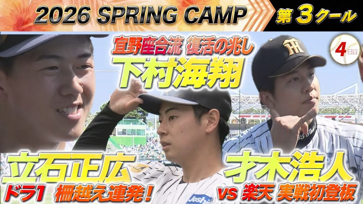 【2/14 阪神キャンプ】第3クール４日目も盛沢山！才木・実践初登板！下村宜野座合流！立石柵越え連発！伊原のインタビューもあるよ！