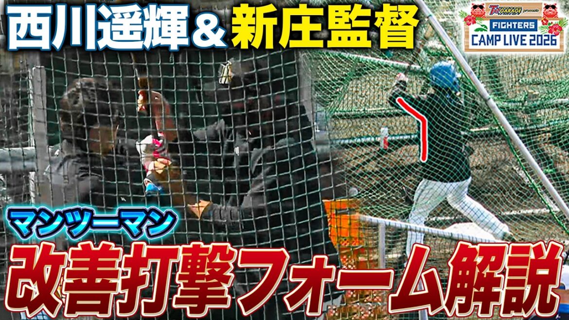 新庄監督が西川遥輝にマンツーマン指導‼️日々改善されるフォームについて解説＜2/14ファイターズ春季キャンプ2026＞