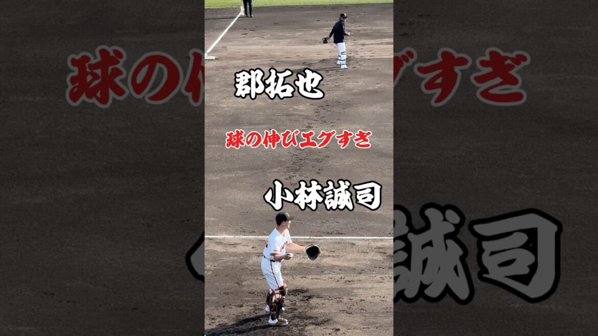 小林誠司x 郡拓也　球の伸びエグすぎ　巨人宮崎春季キャンプ　ジャイアンツ　捕手　#巨人 #ジャイアンツ #プロ野球 #野球 #宮崎 #baseball #shorts