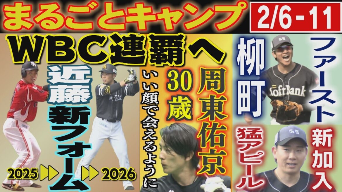 宮崎でWBC「前哨戦」が実現！台湾の至宝VSシン近藤健介（2026/2/9-11.OA）｜テレビ西日本