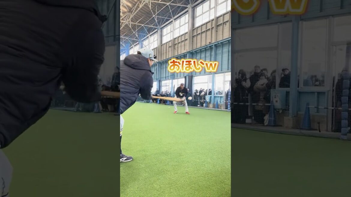 50球連続キャッチノック #紅林弘太郎 #廣岡大志 #安達了一 #オリックス #shorts