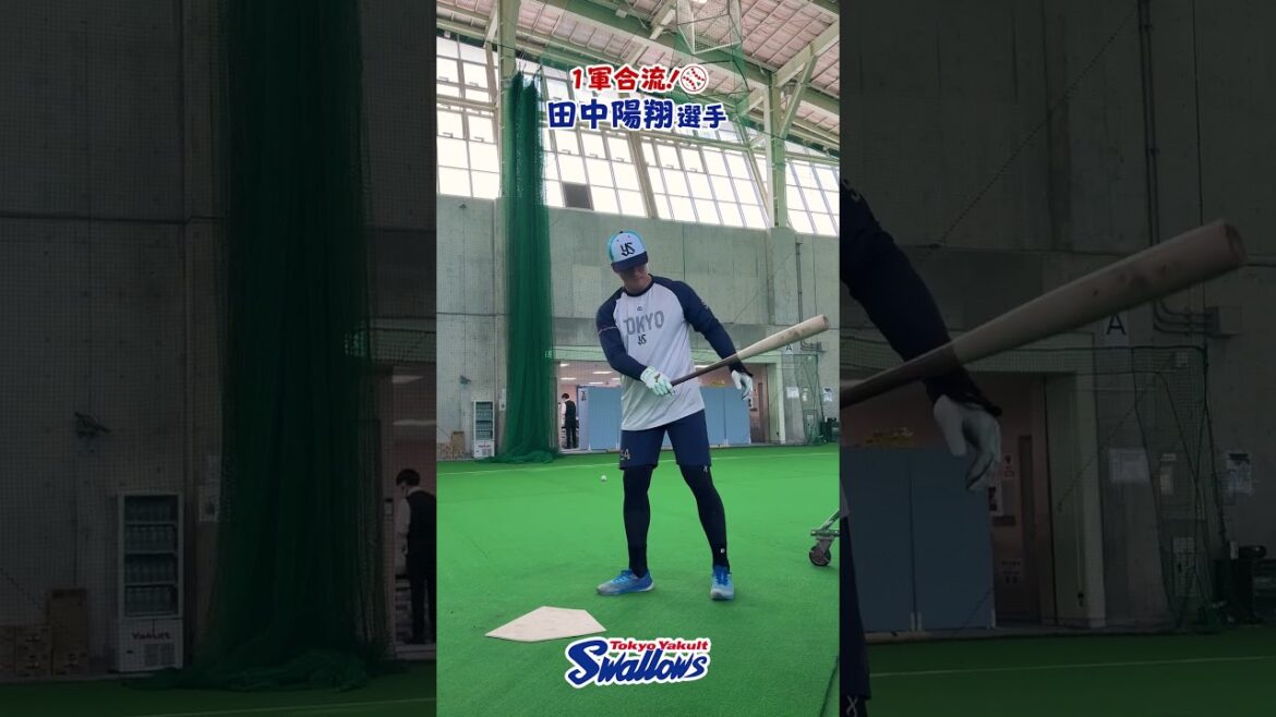 田中陽翔選手、1軍合流！2026浦添キャンプ第3クール2日目 #田中陽翔 #swallows #shorts