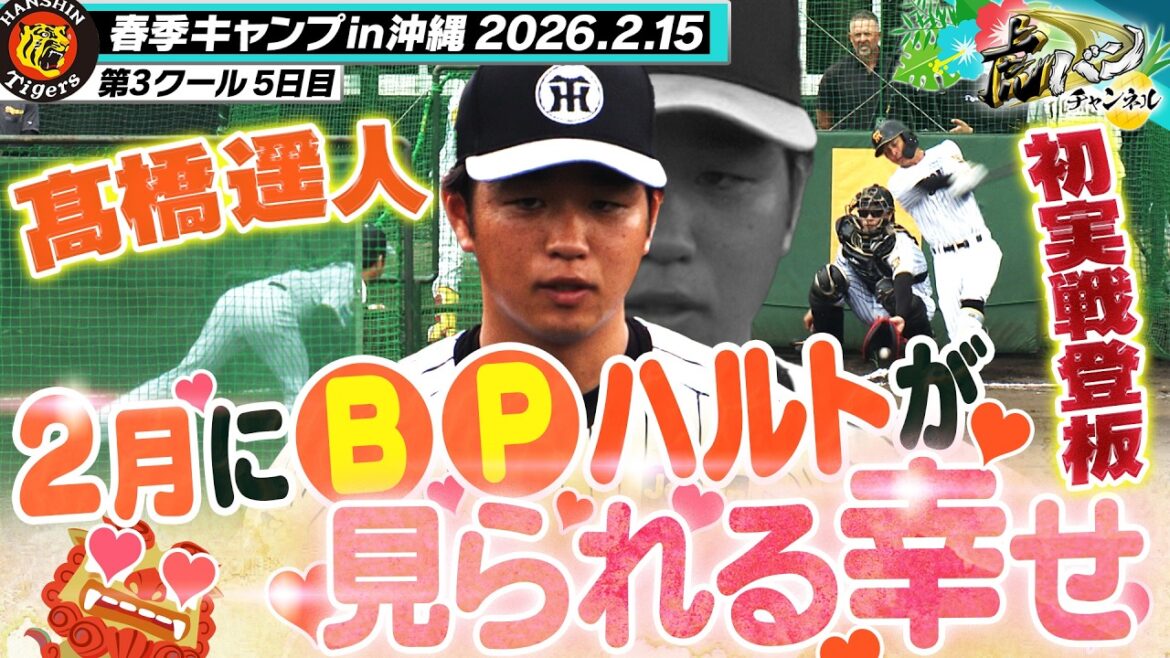 【ライブBP復活登板！】髙橋遥人が５年ぶりに宜野座Gのマウンドへ！シン・ハルト復活で”圧投”してみせた！阪神タイガース密着！応援番組「虎バン」ABCテレビ公式チャンネル