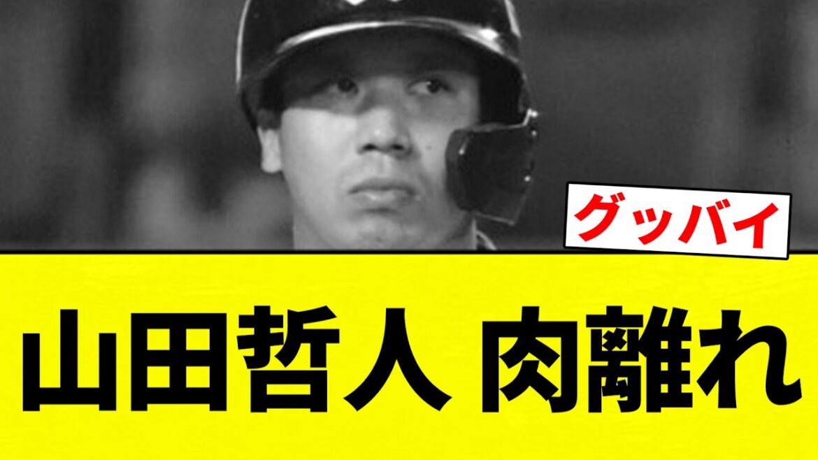【最悪や】山田哲人 肉離れ【プロ野球反応集】【2chスレ】【なんG】 【最悪や】山田哲人 肉離れ【プロ野球反応集】【2chスレ】【なんG】