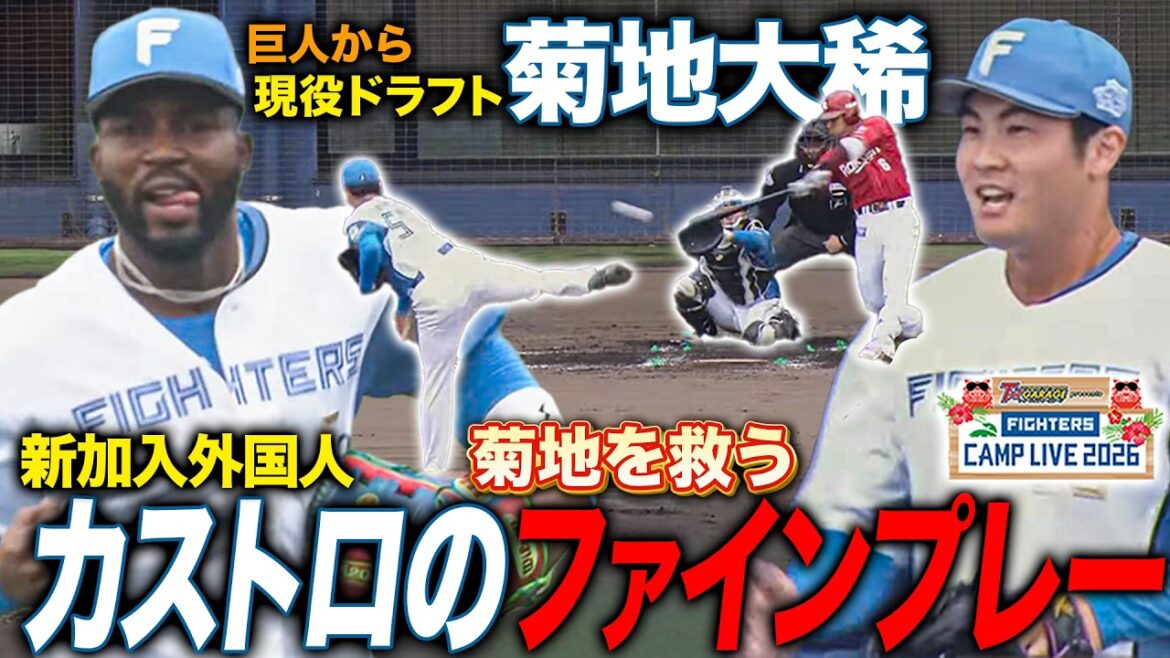 菊地大稀vs楽天イーグルス1回全投球！新加入カストロのファインプレーに場内騒然‼️＜2/11ファイターズ春季キャンプ2026＞