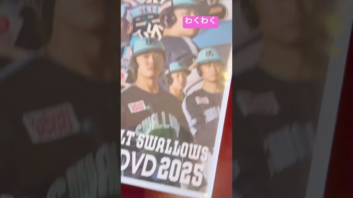わくわく届いたよー！ヤクルトスワローズクルーDVD📀