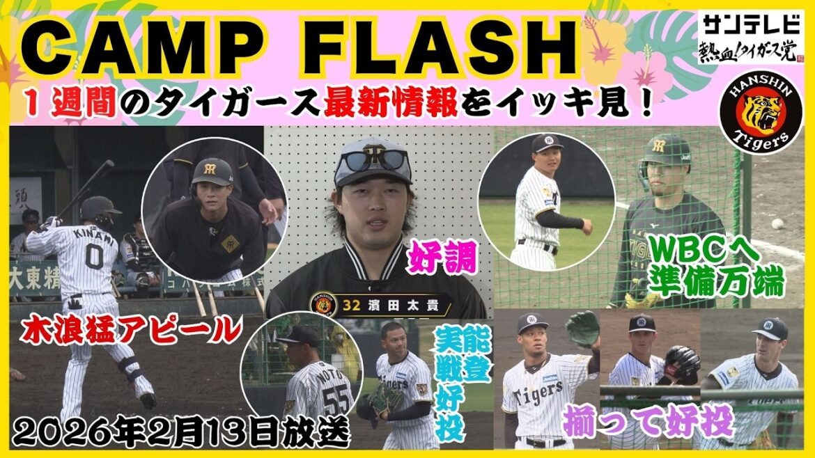 【2/7～2/13のタイガース情報🐯】キャンプ第2・3クール！木浪宜野座合流で猛アピール！新戦力も続々と結果を残す！ #熱血タイガース党