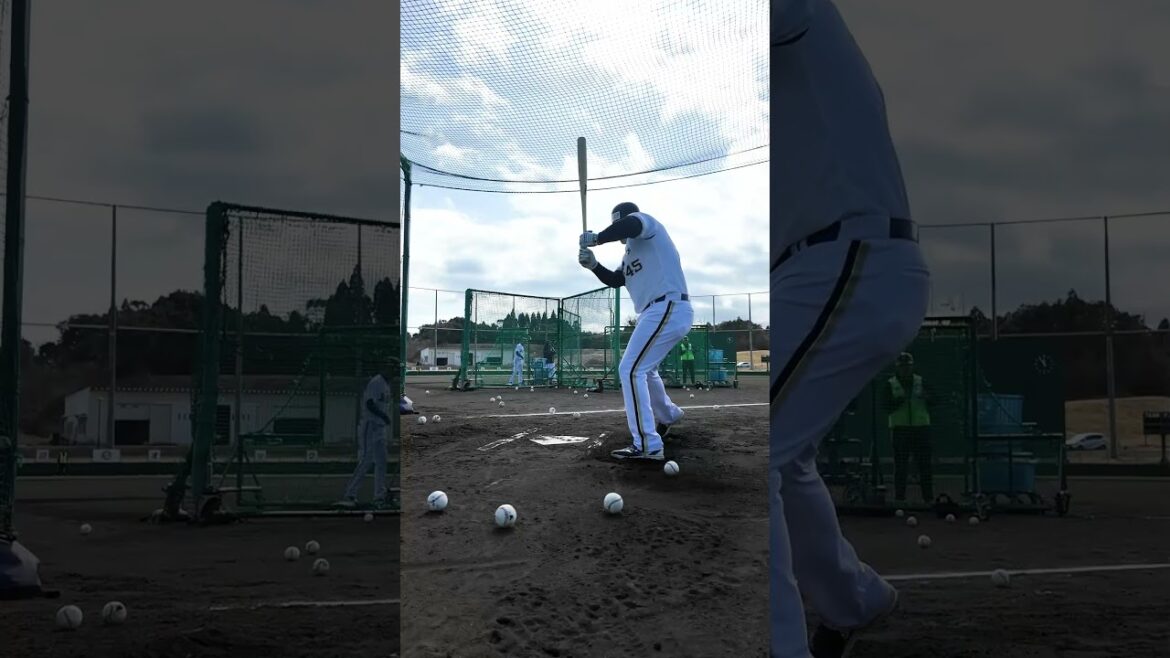ボブ・シーモア選手のバッティング練習⚾ #ボブシーモア #バッティング #オリックス #shorts