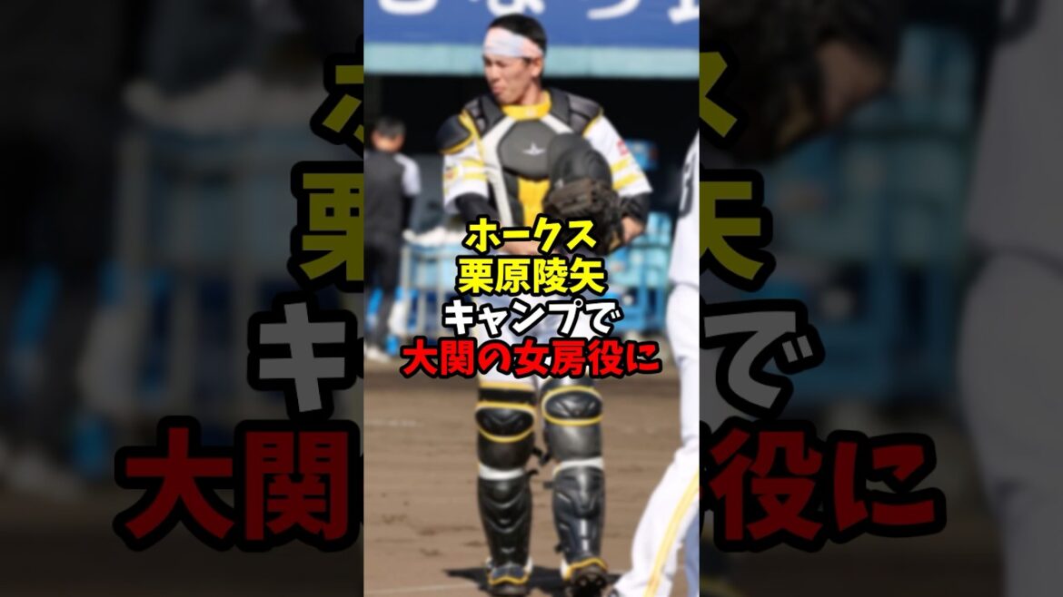 ホークス栗原陵矢キャンプで大関の女房役に【福岡ソフトバンクホークス】