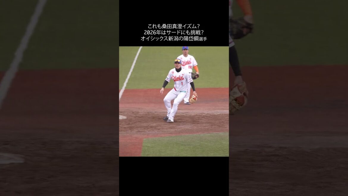 【プロ野球】サードの守備練習をする陽岱鋼選手 #プロ野球ニュース #shorts #桑田真澄 #オイシックス新潟アルビレックスBC