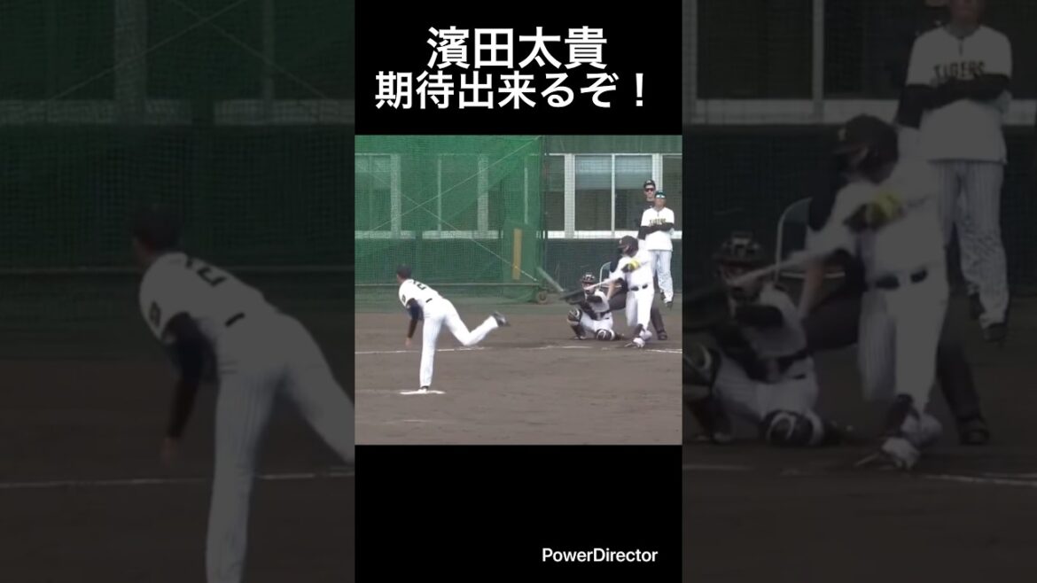 濱田太貴期待出来るぞ！#shorts #阪神タイガース #プロ野球 #濱田太貴
