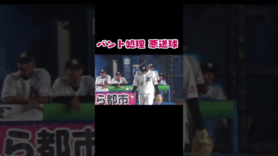 プロ野球 バント処理で悪送球 #zozoマリンスタジアム  #千葉ロッテマリーンズ  #shorts #short #プロ野球 #npb #山本由伸  #東條大樹 #   #オリックスバファローズ