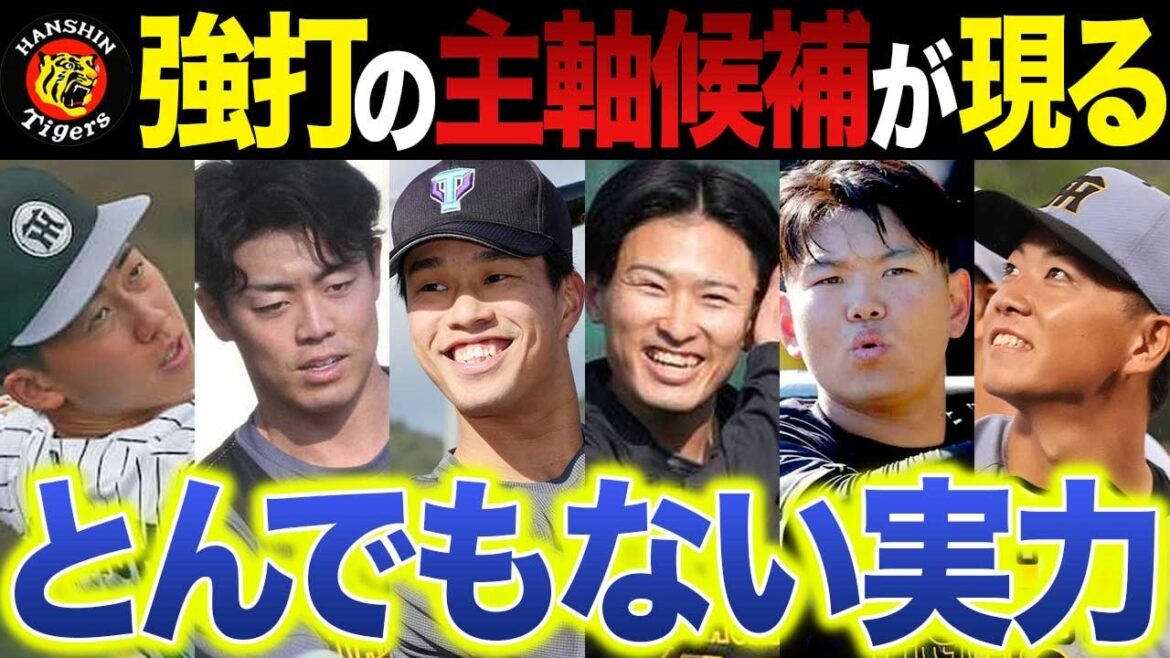 【阪神2026】とんでもない新人・強打の新星6人が出現 【阪神2026】とんでもない新人・強打の新星6人が出現